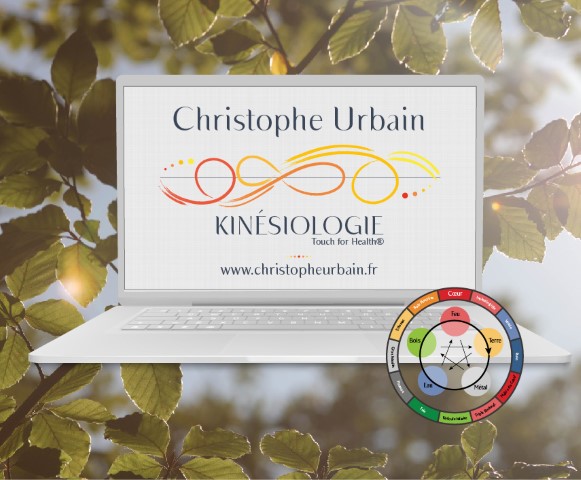 christophe urbain kinésiologue pontchateauwebdesign la toile numerique